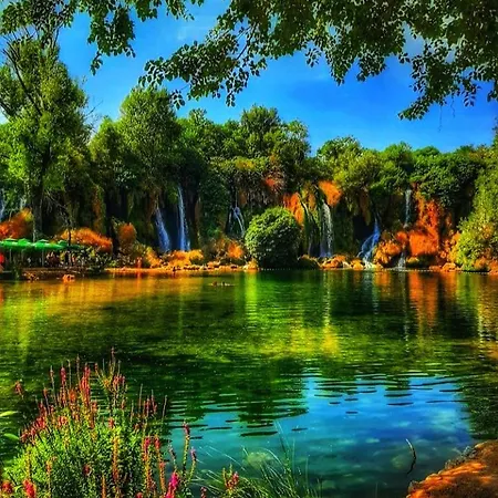 Stella Maris * Любушки