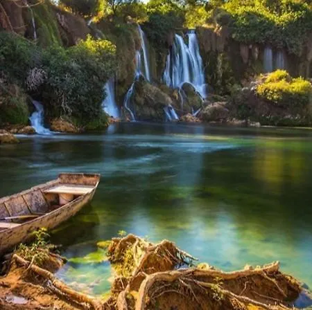 Stella Maris Daire *