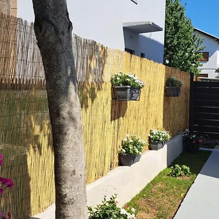 Stella Maris Daire Liyubuşka